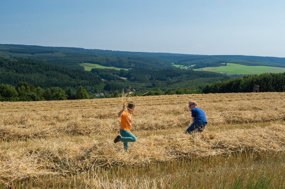 Traumschleife Ruwer Hochwald Schleife ruog8f