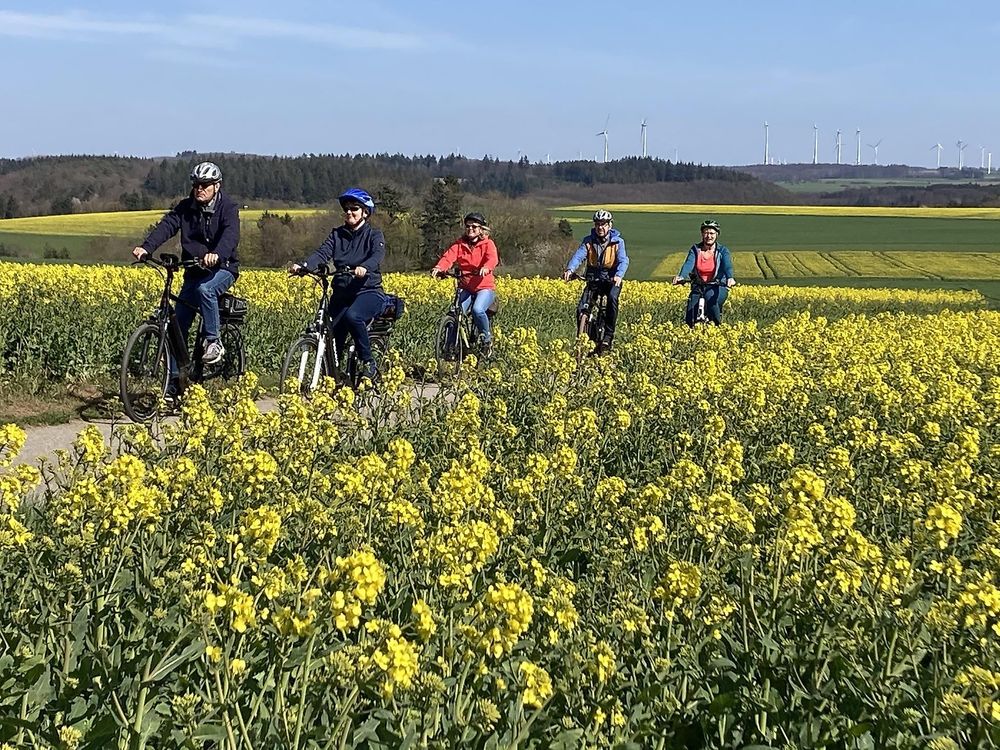 Hunsrück Mosel Radweg rsg2ol