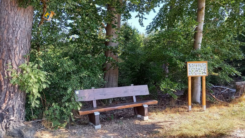Leichte Wege / Waldrunde t3b4b7