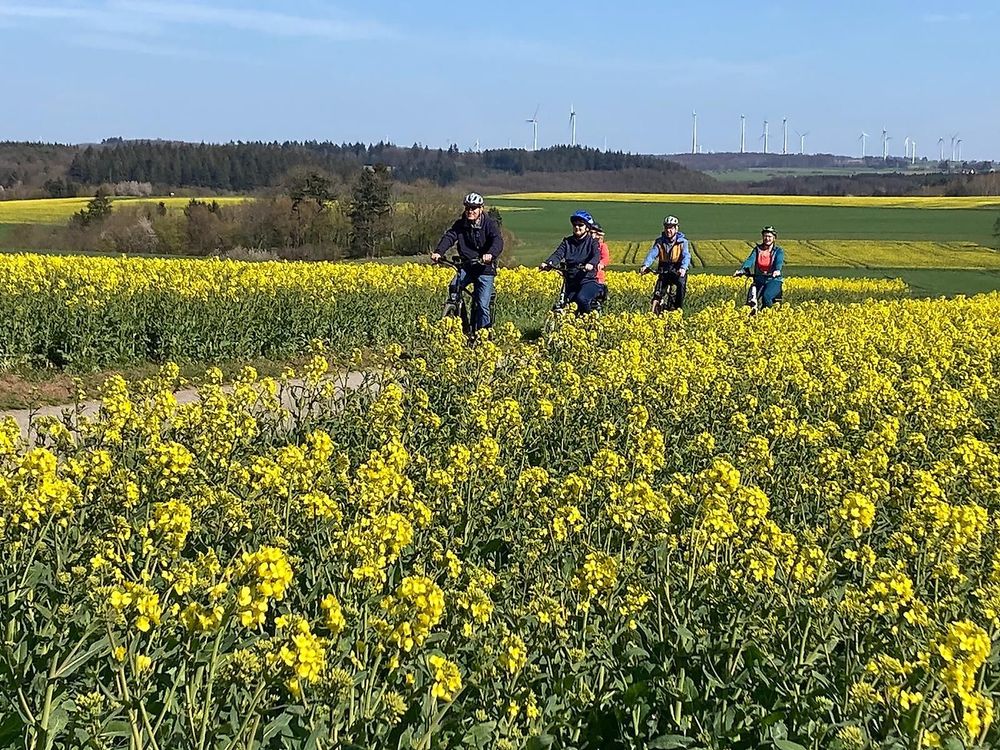 Hunsrück Mosel Radweg rq977n