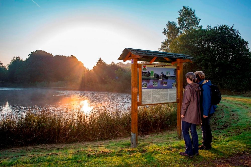 Naturlehrpfad & Dorfpark in Waldweiler t1l96y