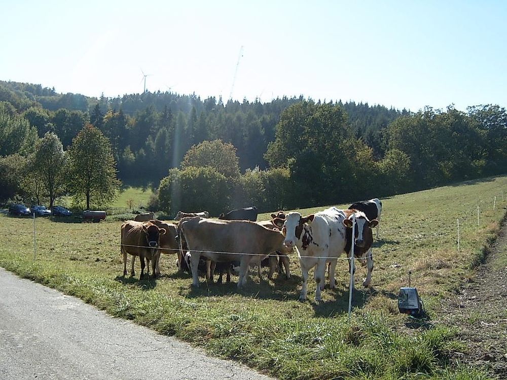 Ferienwohnung mit Herz t0xg3k