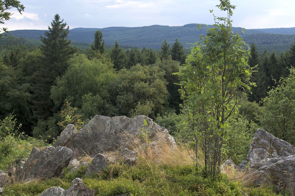 Nationalpark Traumschleife Trauntal Höhenweg rnwkp4