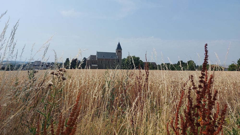 Hunsrück Mosel Tour t29atu