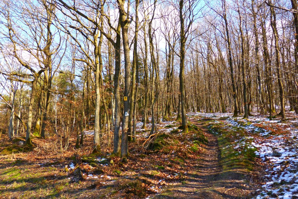 Soonwaldsteig   Zuweg Bruschied Wanderparkplatz t13c7h