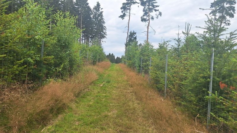Grenzgängerweg Birkheim t00zn8