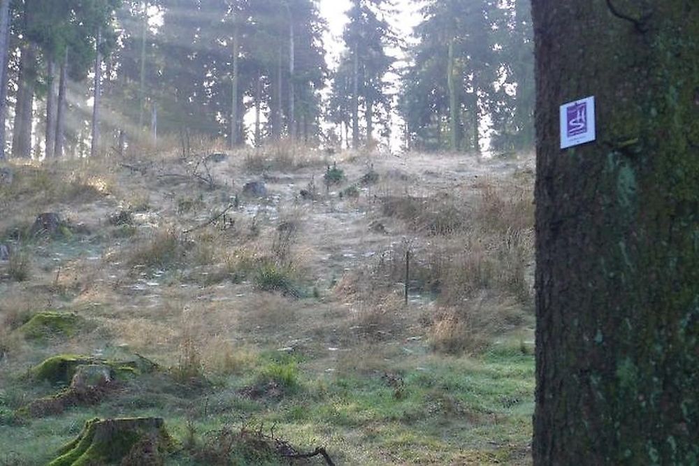 Traumschleife Gipfelrauschen rlalnx