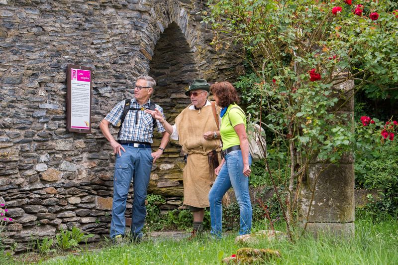 Saar Hunsrück Steig   13