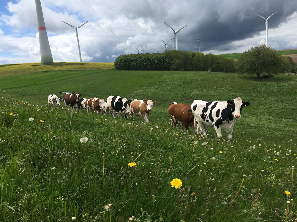 Wandergenuss rund um Lampaden rggjy1