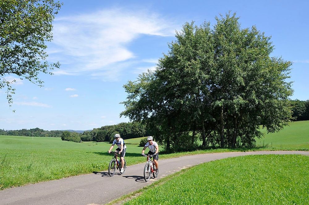 MTB 4 Profi Tour rfq5z5