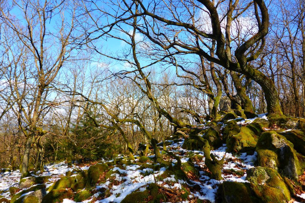 Soonwaldsteig   Zuweg Bruschied Wanderparkplatz rg559t