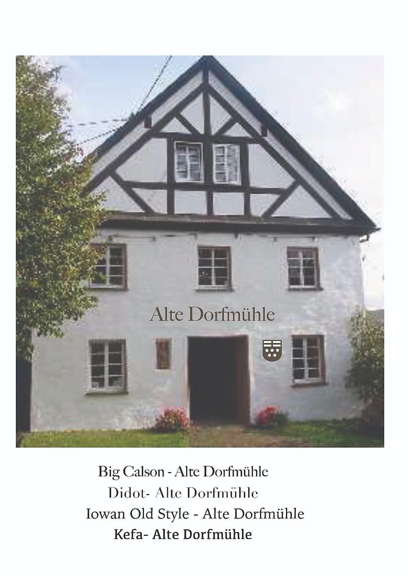pois/alte-dorfmuehle-elektromuehle-xmonzelfeld-2787