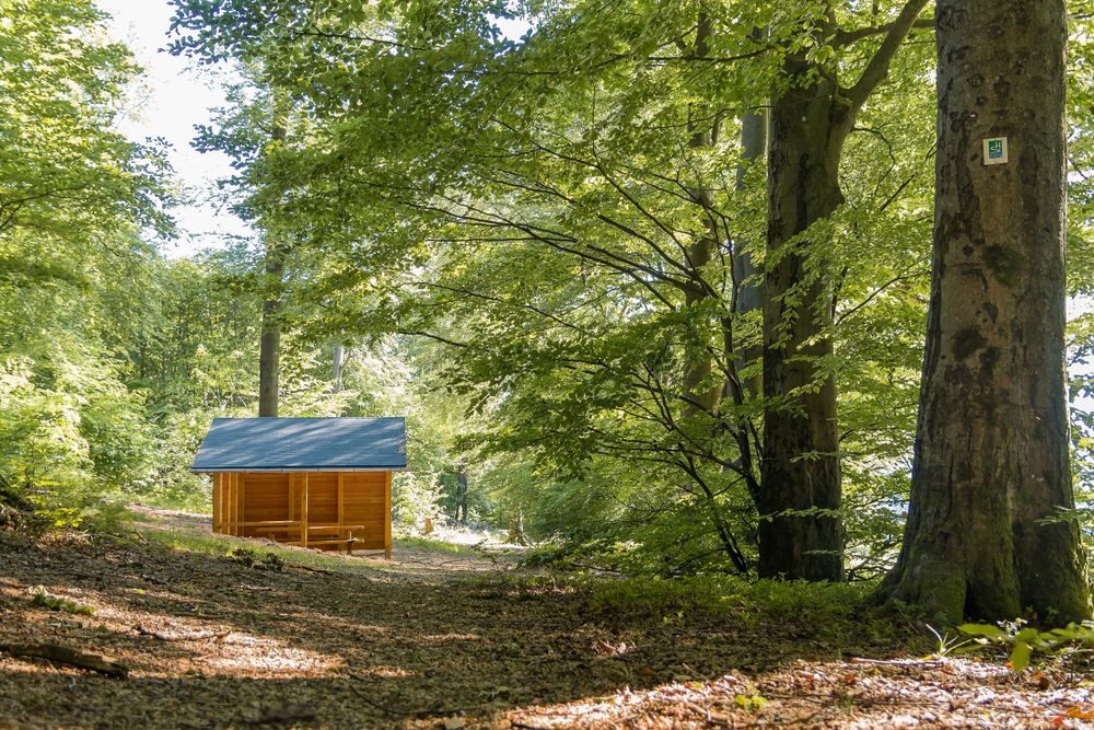 Saar Hunsrück Steig   08