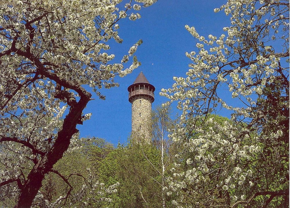 Wildenburg Kempfeld qxdu03