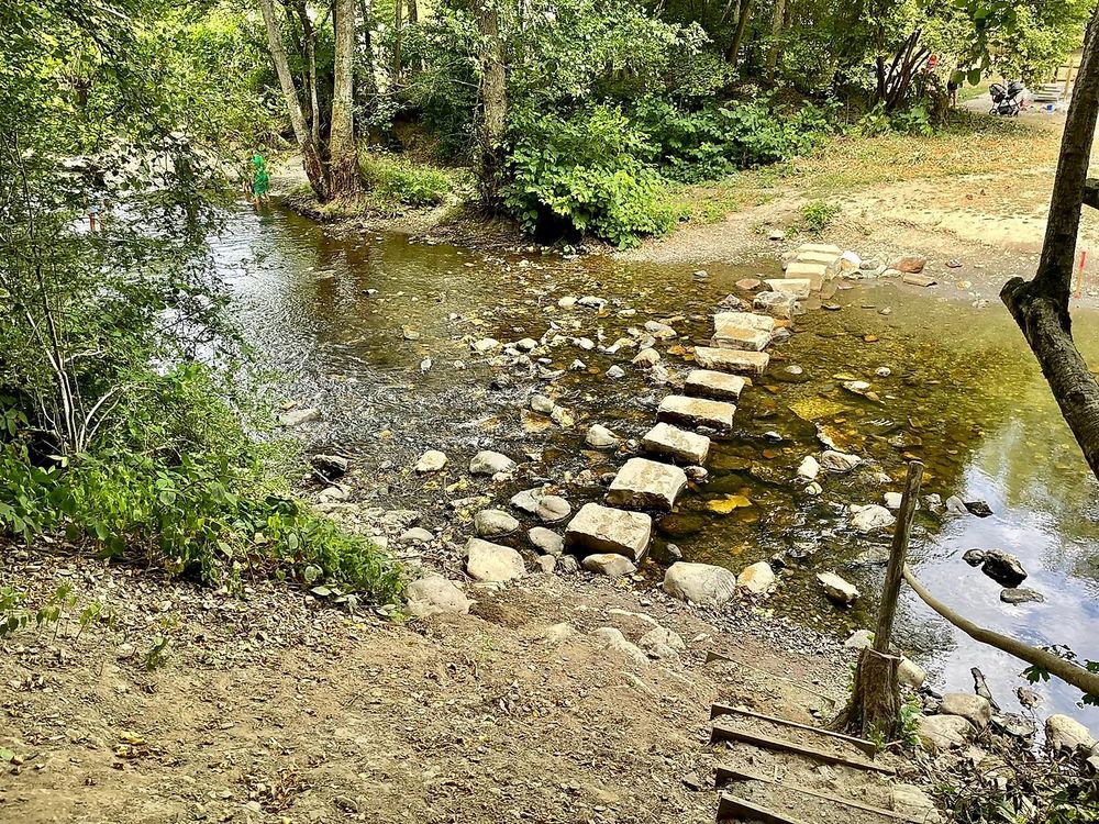 Saar Hunsrück Steig   26