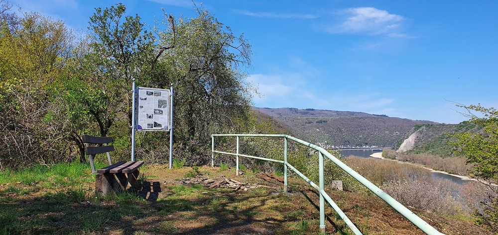 Welterbesteig Oberes Mittelrheintal Etappe 5 Oberwesel   Hirzenach s896n9