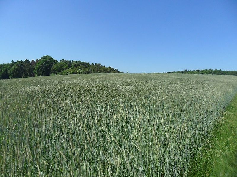 Traumschleife Mühlenbach Schluchten Tour s6u7jt