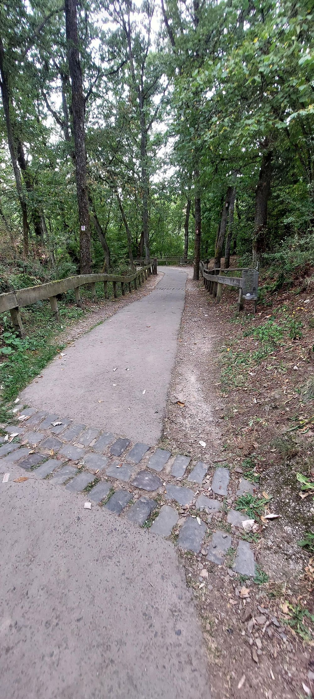 Fußweg zu den Edelsteinminen im Steinkaulenberg s5ope6