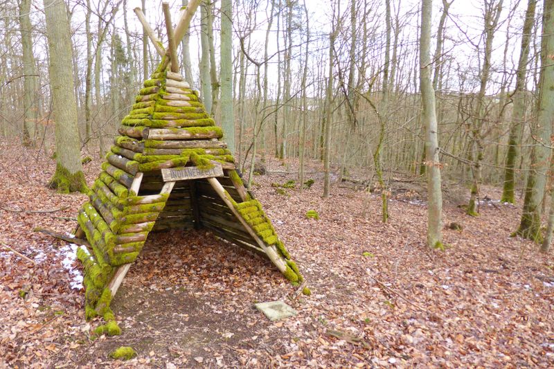 Soonwaldsteig   Zuweg Hennweiler 1 qsm9dx