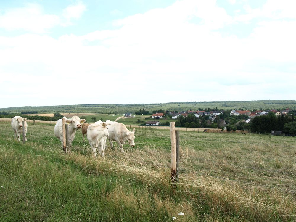 Allenfelder Sonnenrunde   Rundwanderweg um die Gemeinde Allenfeld qscjvr