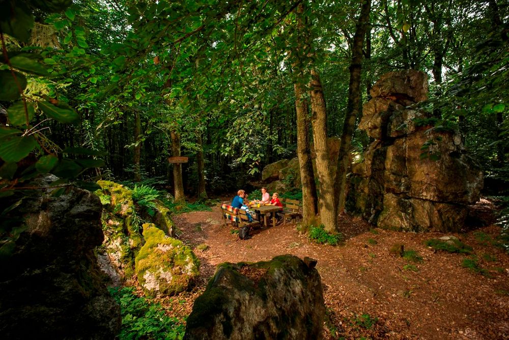 Heckelbüschfelsen   Quarzitformation im Henterner Wald qrzoeq