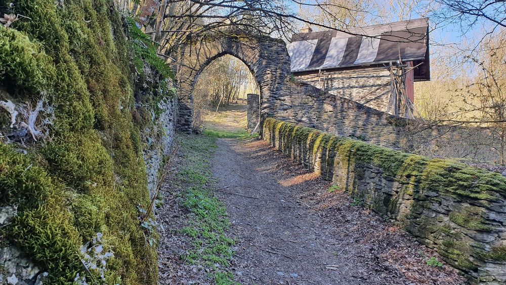 Traumschleifen Quartett im Baybachtal qt1psx
