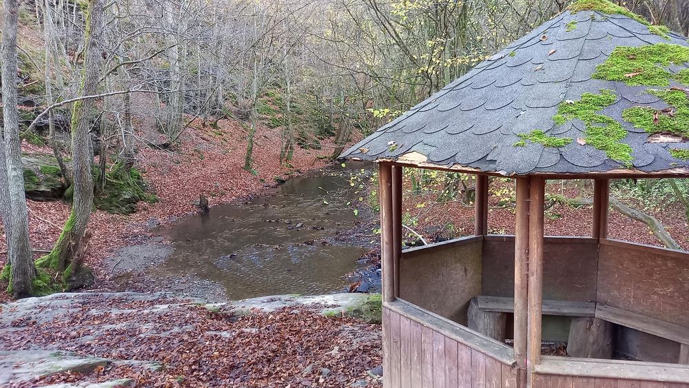 Rutsch Rastplatz im Baybachtal s2suem