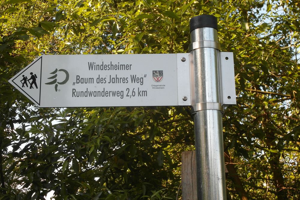 Wald  und Wiesenweg Windesheim qosvbg