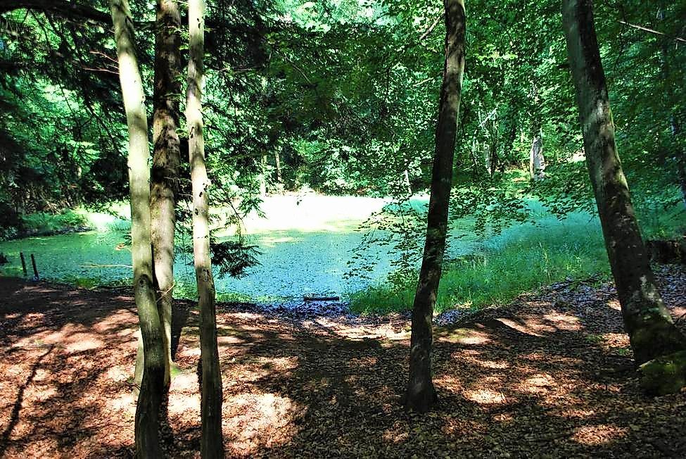 Traumschleife Klingelfloß s347dc