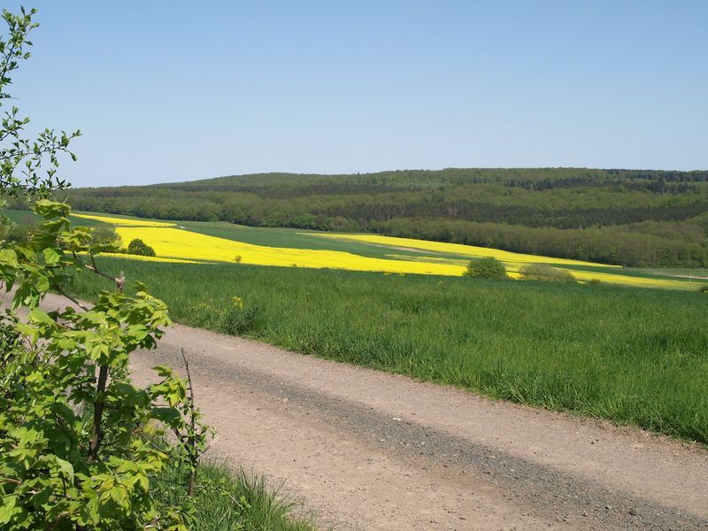 Allenfelder Sonnenrunde   Rundwanderweg um die Gemeinde Allenfeld s1gr5g