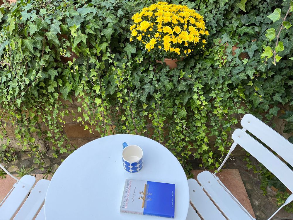 Apartment im blauen Haus qp954q