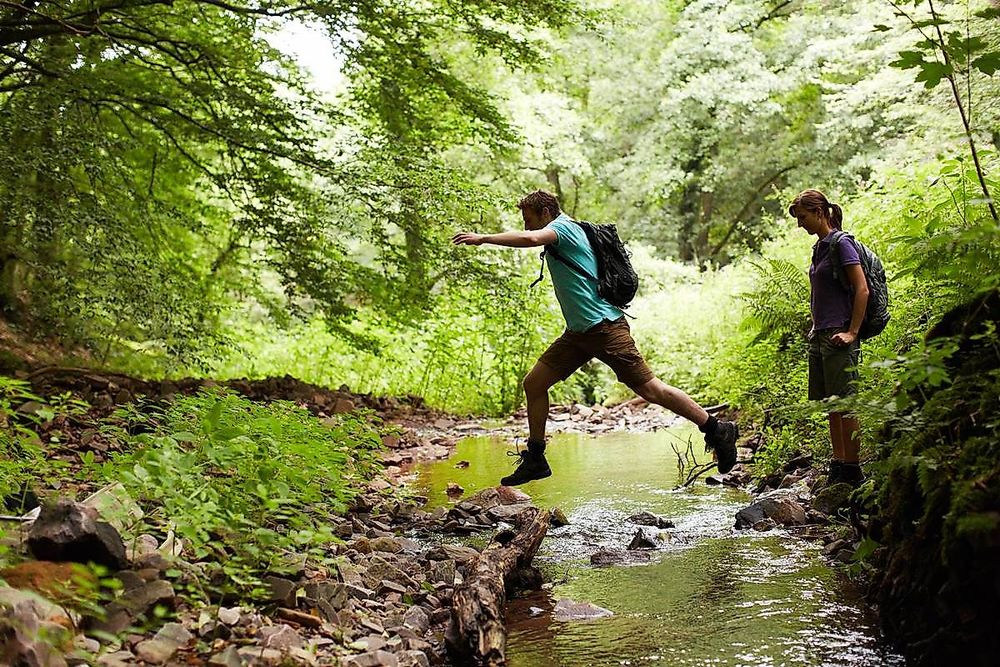 Saar Hunsrück Steig   03