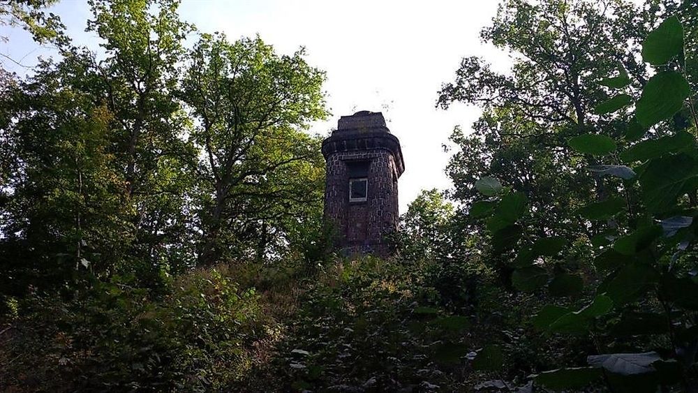 Kirn K8 / Über die Römerstraße, dann um den neuen Wald s0rk5s