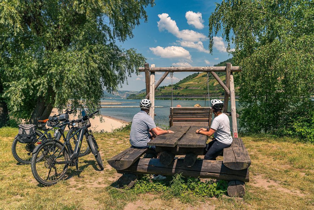 Rheinschaukel Trechtingshausen qmdtrx
