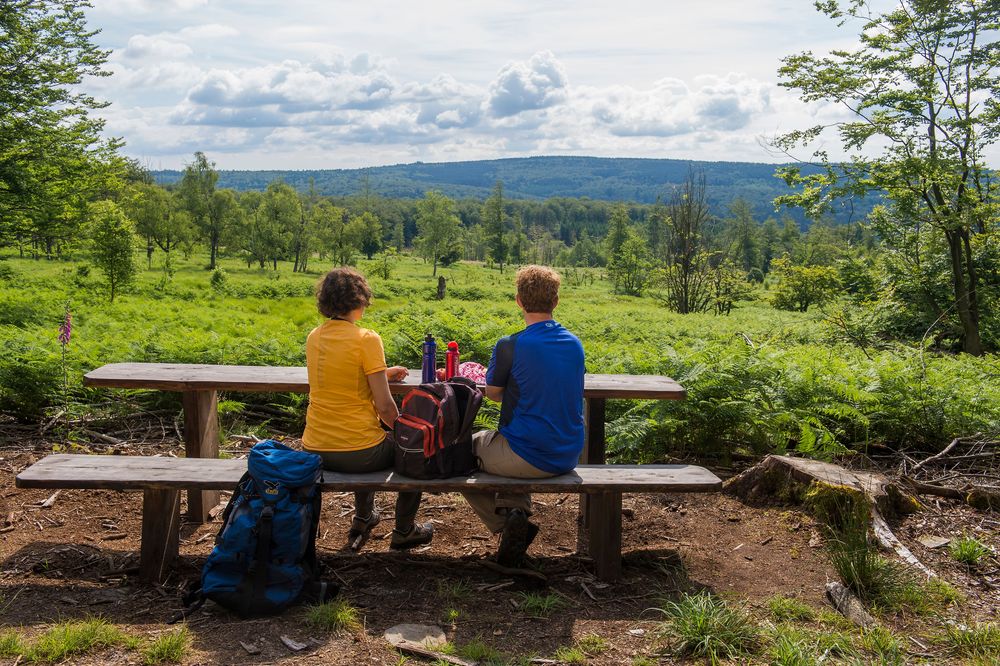 Nationalpark Traumschleife Börfinker Ochsentour s07o3w