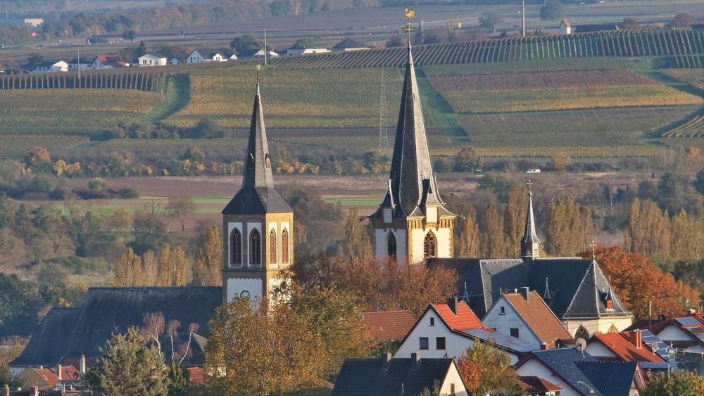Ferienwohnung an den Weingärten qltzs1