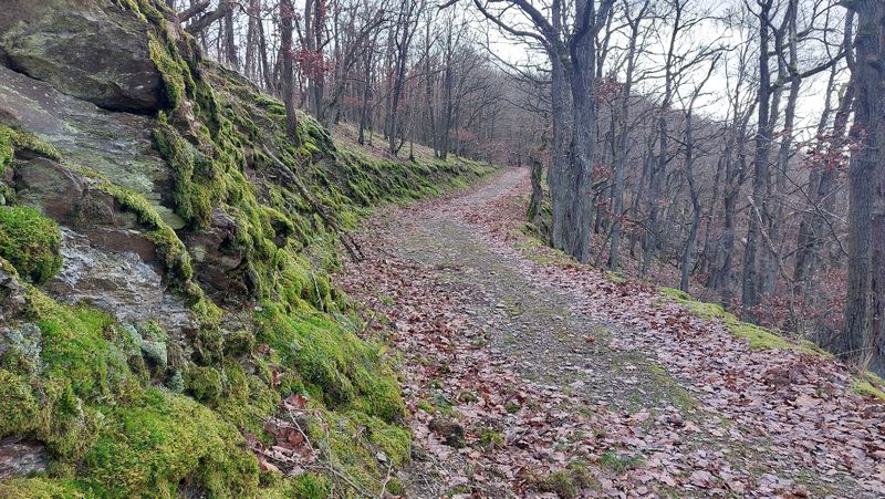 Von ECK mühle zum Mermuther ECK qkaskd