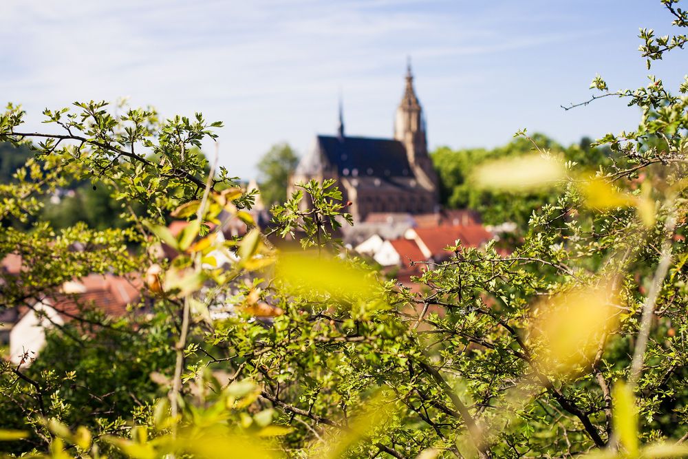 Premium Spazierwanderweg "Juché" qjvzky