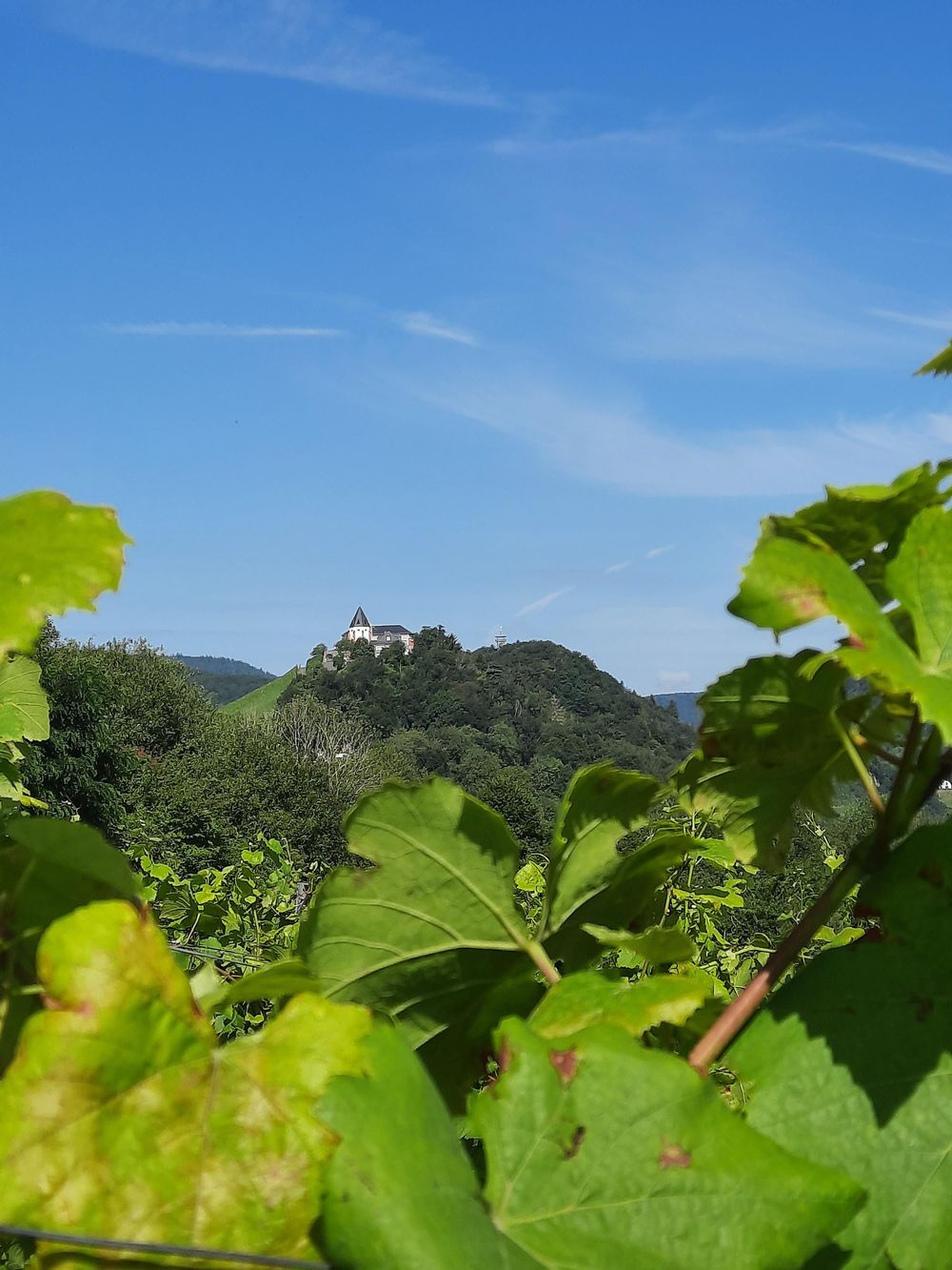 "Marienburg" Rundwanderweg im Zeller Land qiu7wl