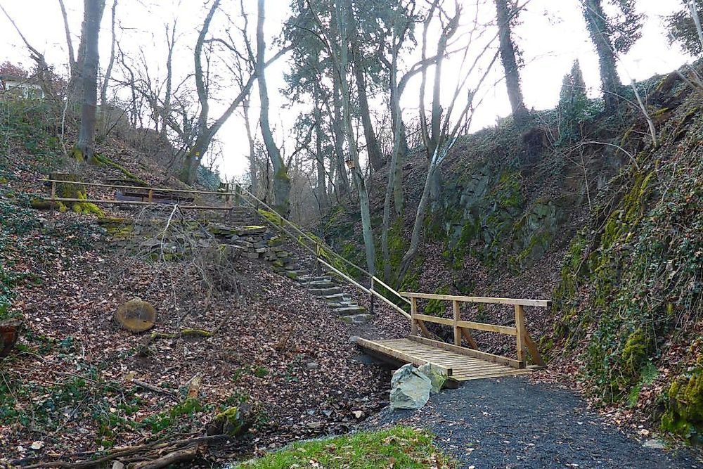 Soonwaldsteig   Zuweg Gemünden 2 qdg0im