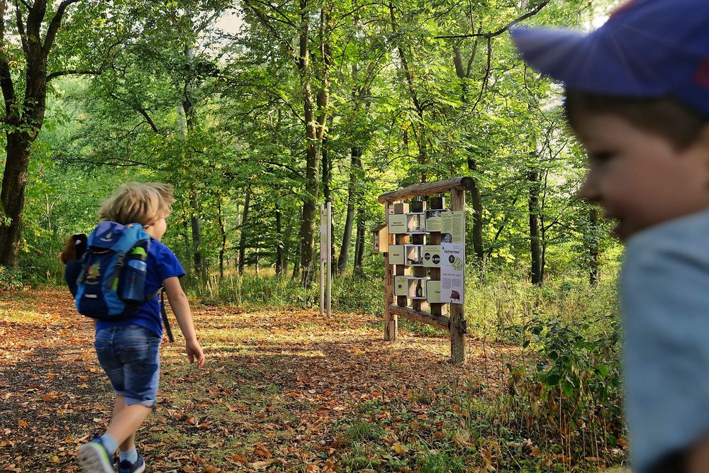 Rottentour im Langenlonsheimer Wald   OFFIZIELLE WEGBESCHREIBUNG! qakk6q