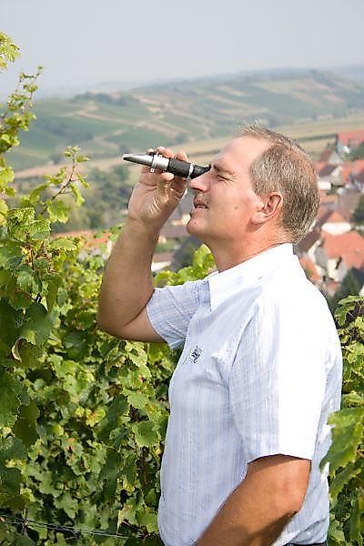 Ferienzimmer Weingut Barth Sommerloch pyse48