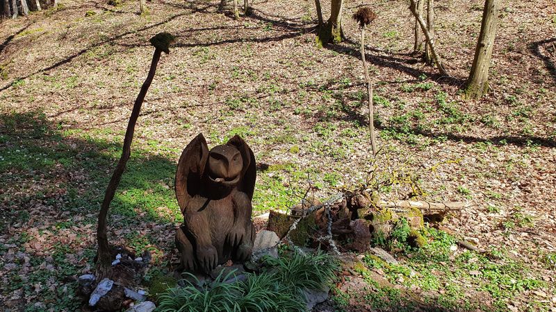 Traumschleifen Quartett im Baybachtal pz66l3