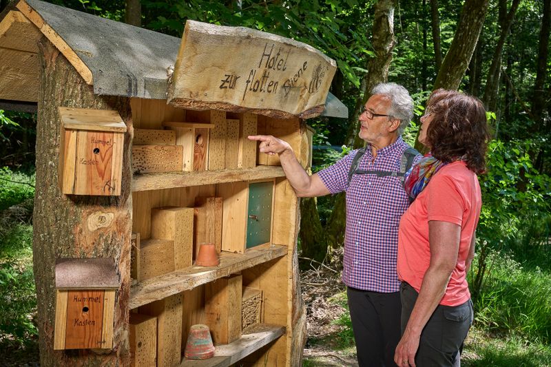 Traumschleife Burgstadt Pfad pxgb1d