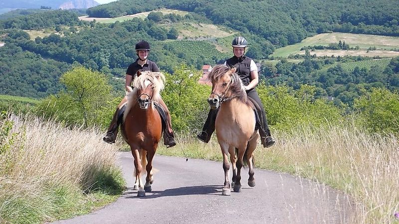 Weinwanderweg Rhein Nahe r9yj2w