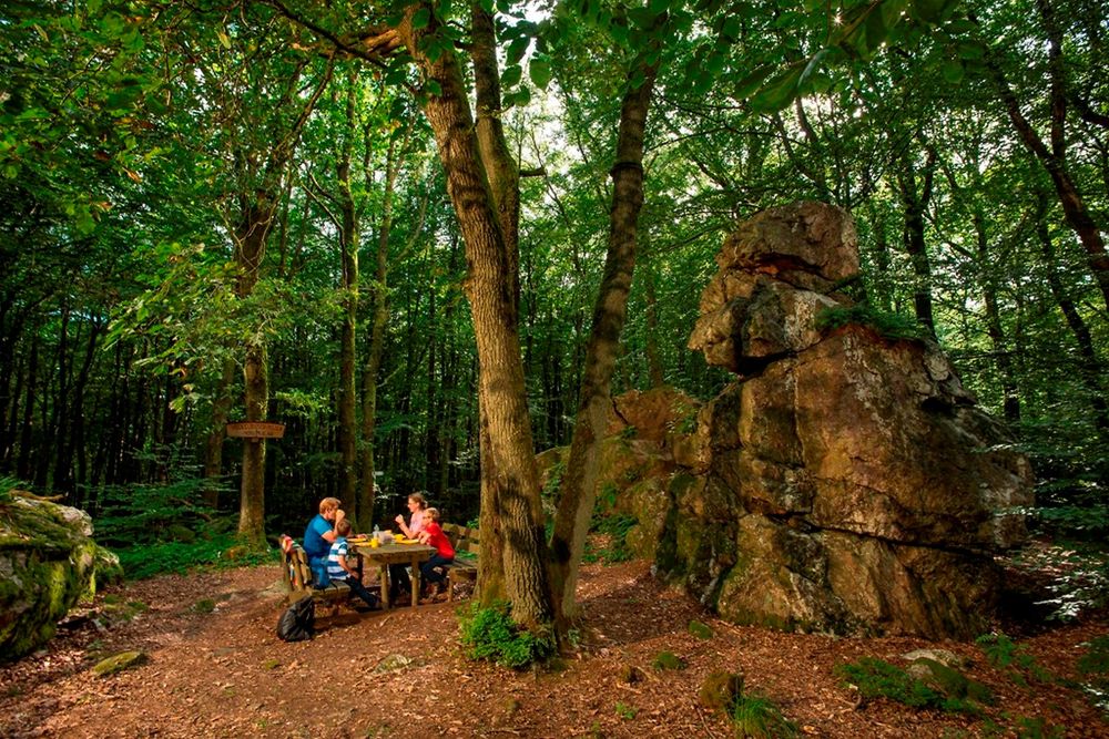 Heckelbüschfelsen   Quarzitformation im Henterner Wald pwcxac