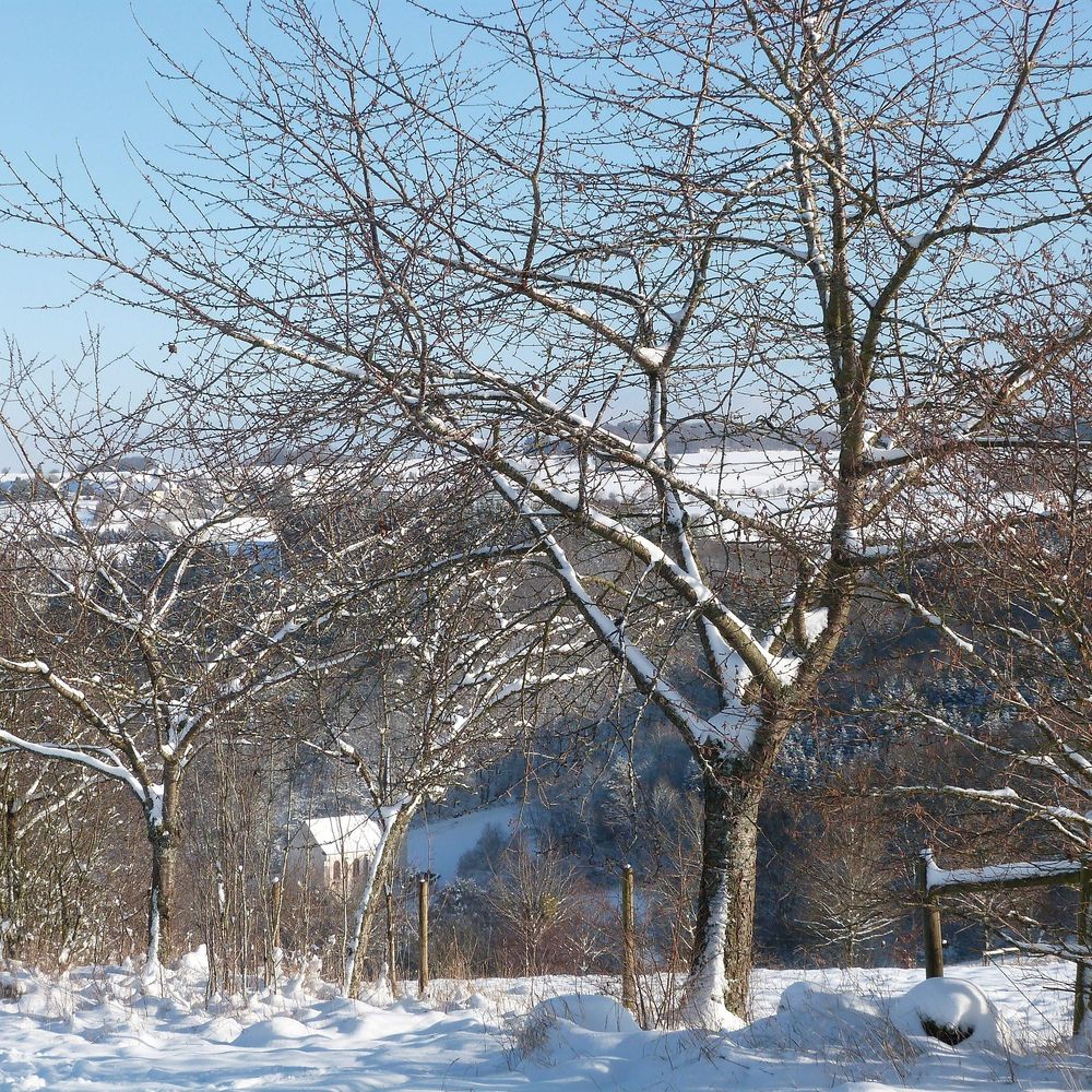 Villa Mosel putqmf