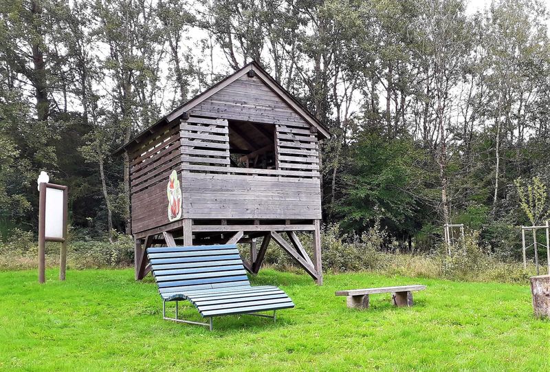 pois/ervaar-diversiteit-op-de-traumschleife-greimerather-hoehenweg-e-658
