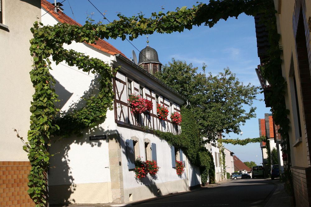 Braunweiler im Naheland "Schneckenpfad" ptnhyj