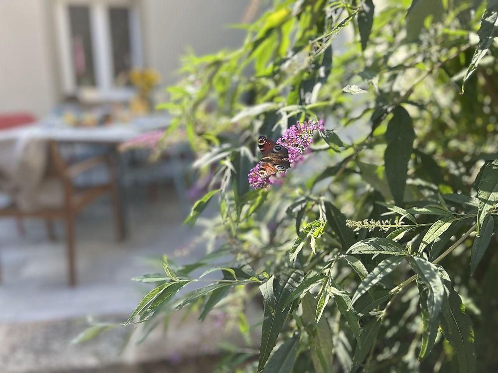 Ferienhaus Zeitmeise psyk6c